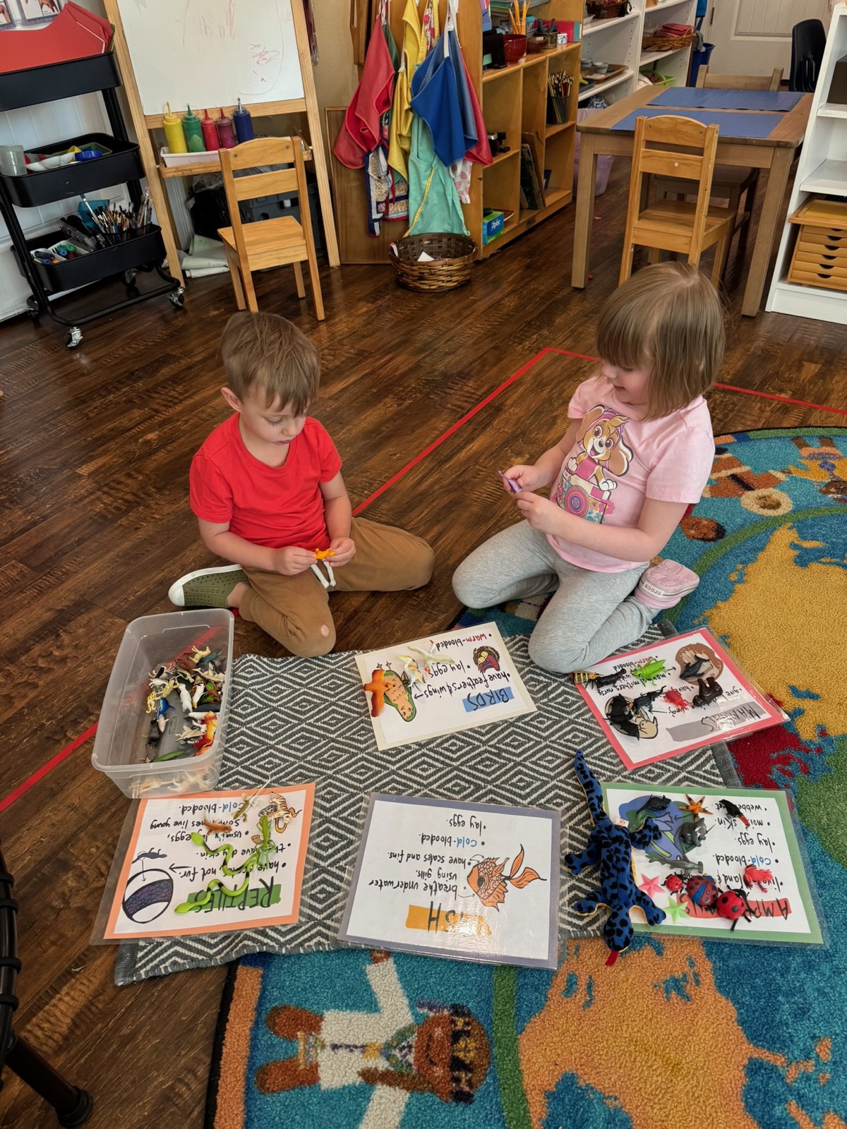 Sunshine Montessori classroom photo