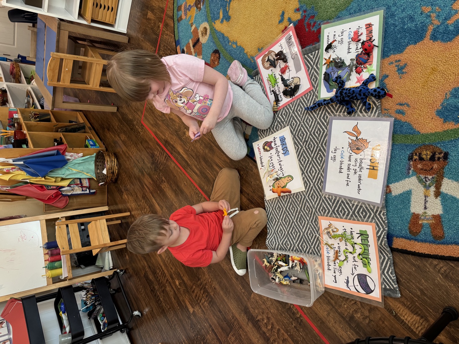 Sunshine Montessori classroom photo