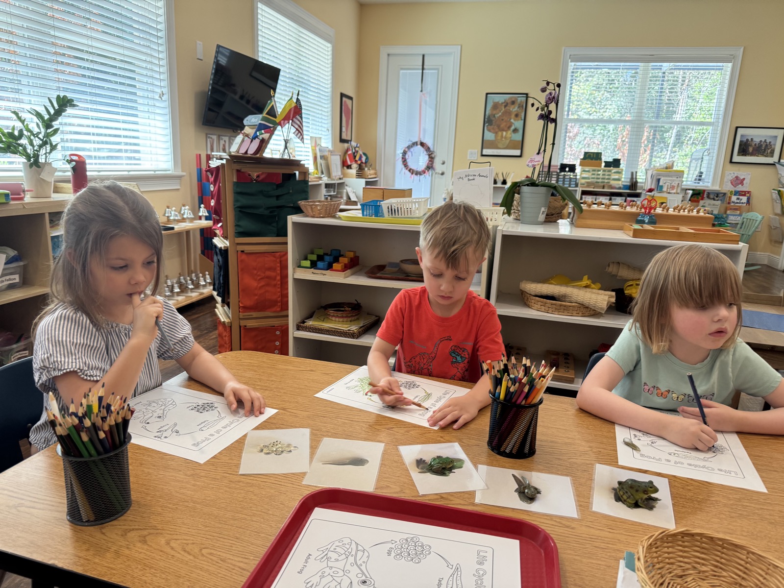 Sunshine Montessori classroom photo