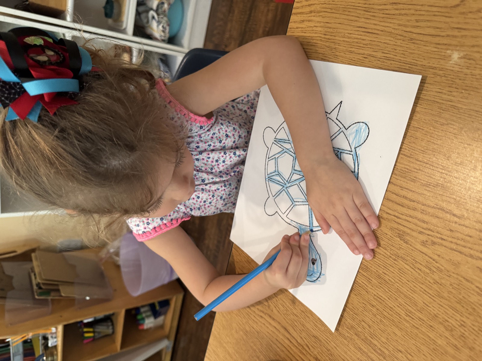 Sunshine Montessori classroom photo