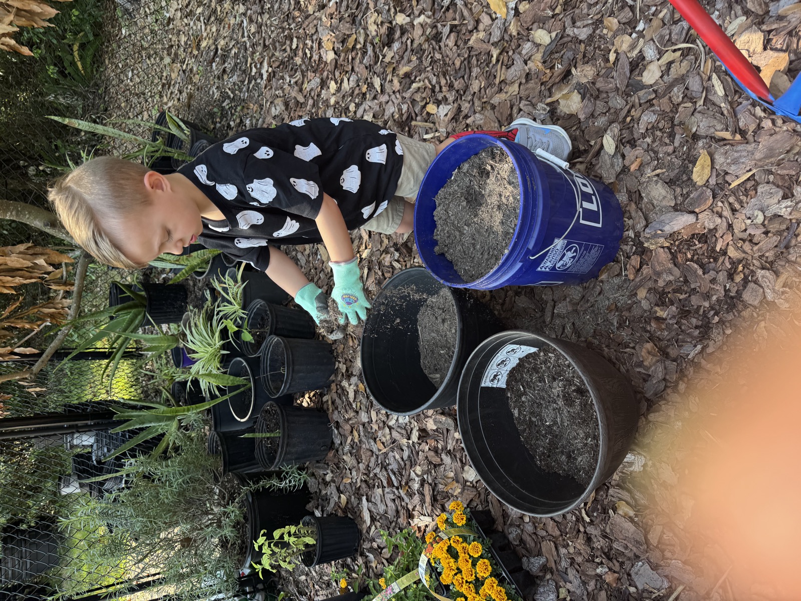 Sunshine Montessori classroom photo