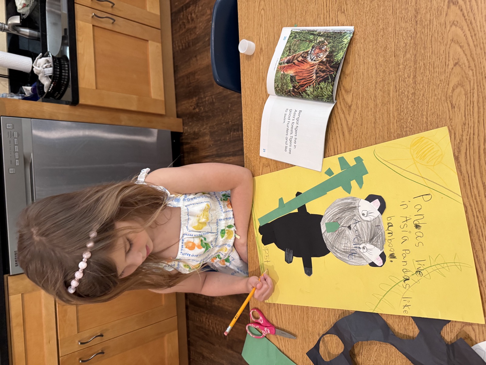 Sunshine Montessori classroom photo