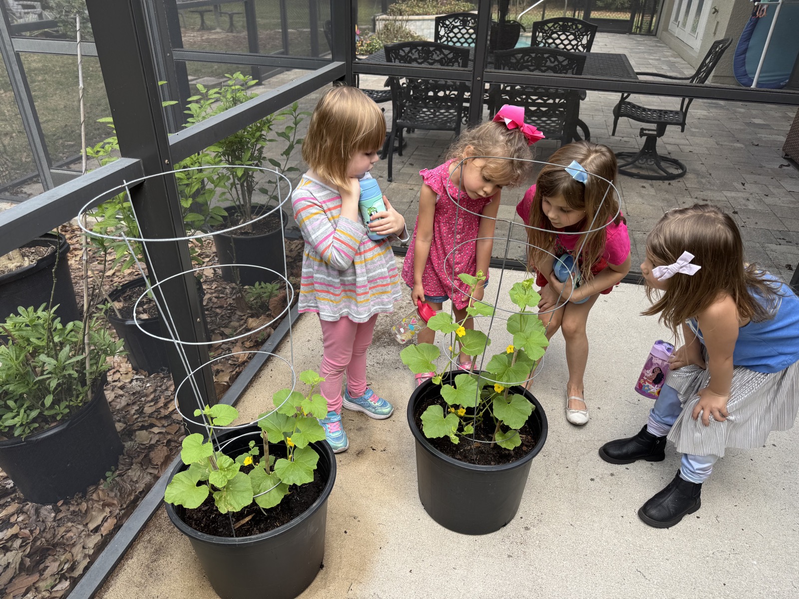Sunshine Montessori classroom photo